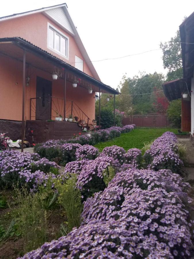 Gostynnyi Dvir U Marichky Hotell Lazeshchyna Exteriör bild